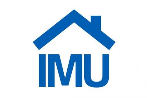 IMU